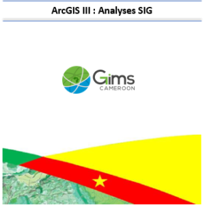 ArcGIS III: SIG Analyses